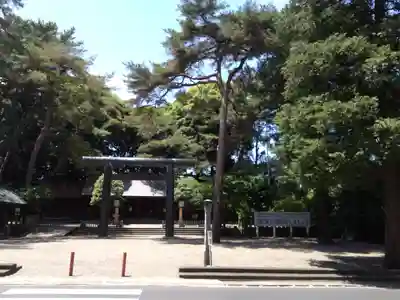 埼玉縣護國神社の鳥居