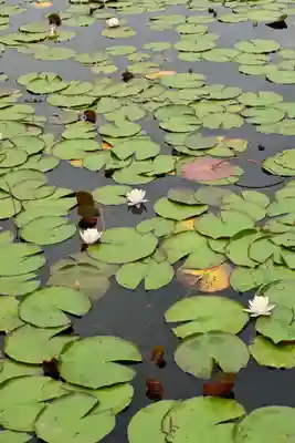 黒澤大師(徳島県)