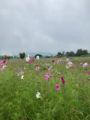 神吉八幡神社(兵庫県)