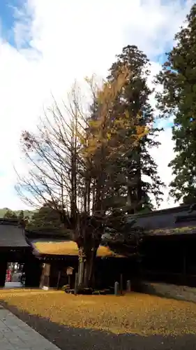 飛驒一宮水無神社のその他建物
