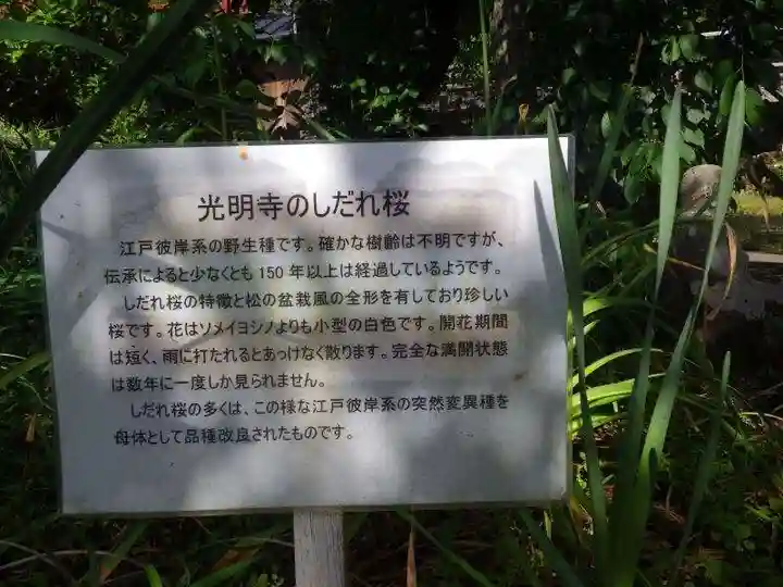 光明寺(山口県)