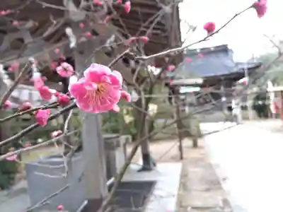 伊勢玉神社(富山県)