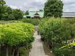 亀戸天神社の庭園