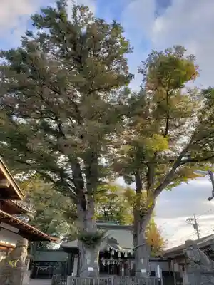 熊野宮(東京都)