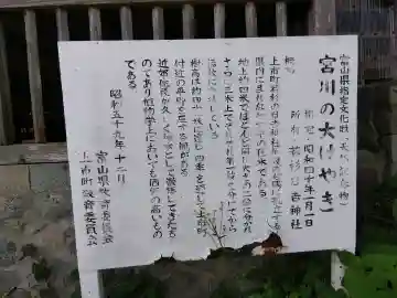 日吉神社(富山県)