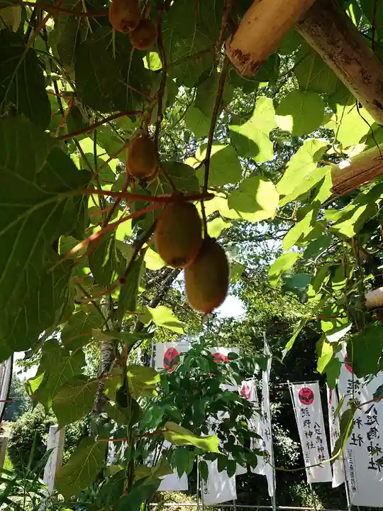 熊野神社の自然