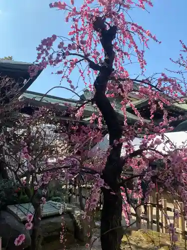 大阪天満宮の庭園