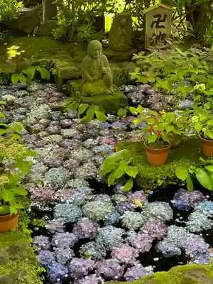 長谷寺(神奈川県)