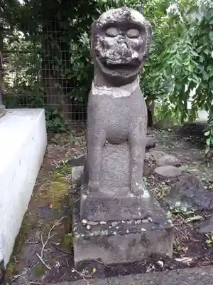 櫻岡大神宮の狛犬