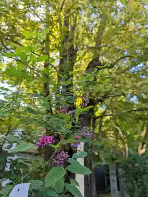 梨木神社(京都府)