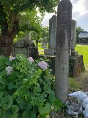 向野神社の自然