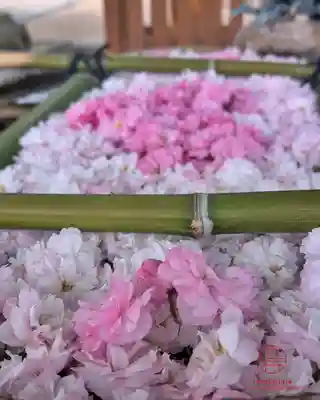 立志神社(滋賀県)