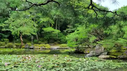 平安神宮(京都府)
