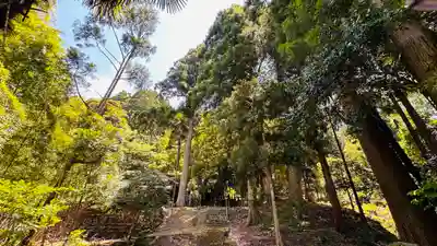 泉神社(福井県)