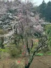 弁財天(神奈川県)