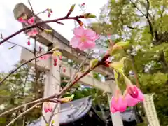 愛知県高浜市春日神社(愛知県)