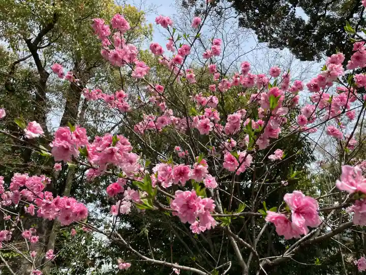 城南宮(京都府)