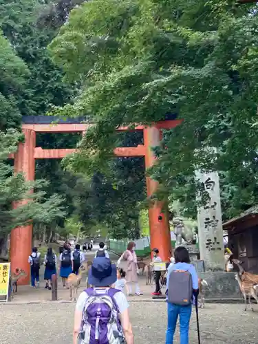 手向山八幡宮(奈良県)