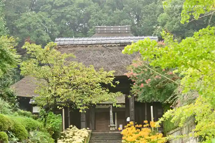 横浜 西方寺の本殿・本堂