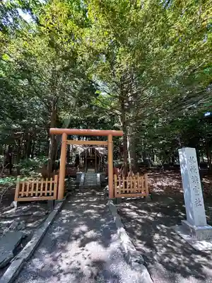 北海道神宮の鳥居