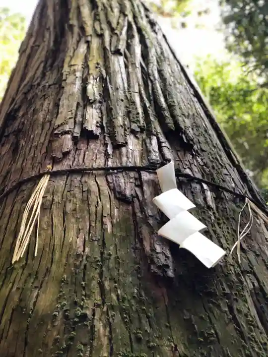 元伊勢内宮 皇大神社の自然