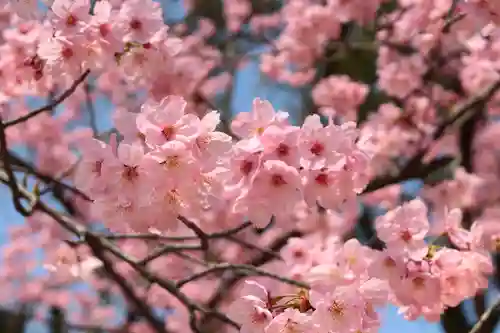 三津厳島神社(愛媛県)