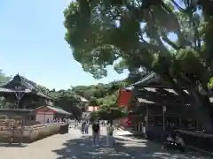 勝尾寺(大阪府)