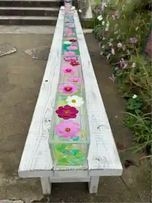 般若寺 ❁﻿コスモス寺❁(奈良県)