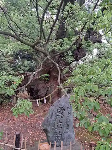 浜松八幡宮(静岡県)