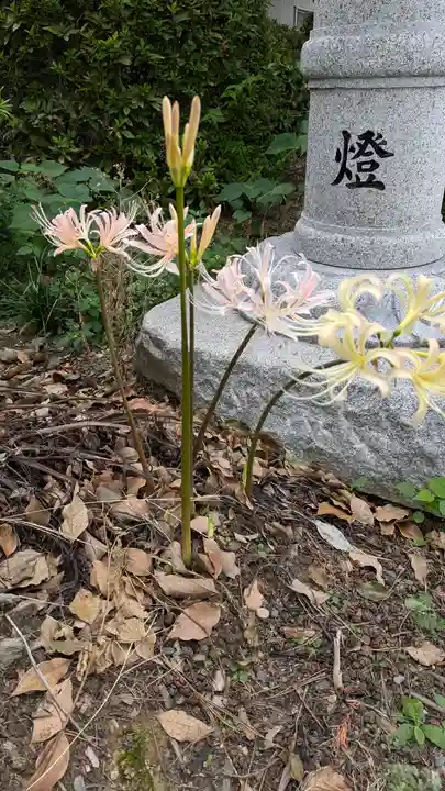 玉田神社(京都府)