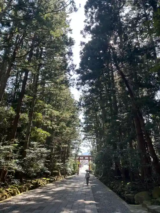 彌彦神社(新潟県)