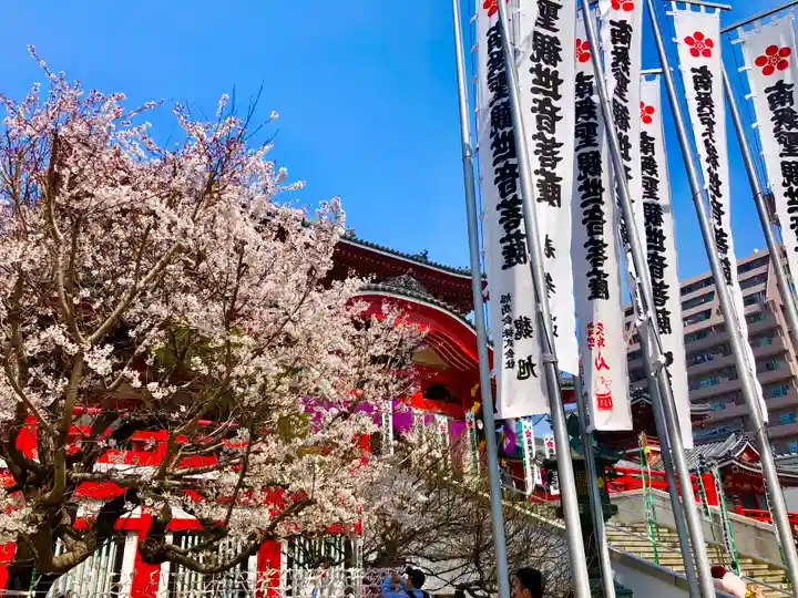 大須観音 (北野山真福寺宝生院)(愛知県)
