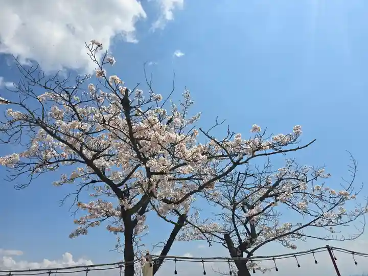 宝塚神社(兵庫県)