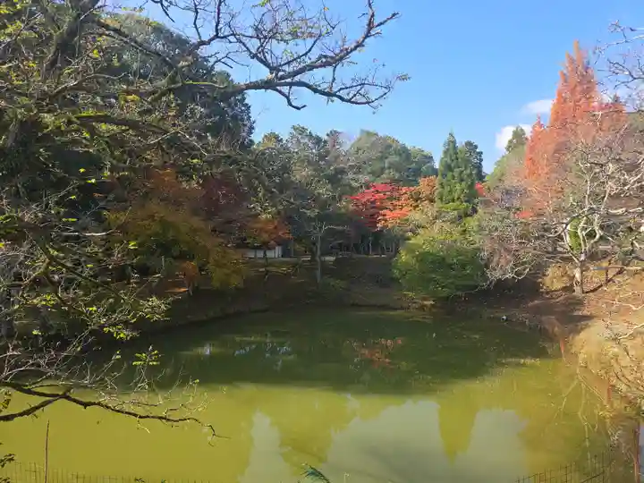 天寧寺(京都府)