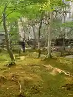 祇王寺の{uncategorized: "未分類", other: "その他", undefined: "問題あり", building: "その他建物", grave: "お墓", sacred_gate: "鳥居", guardian: "狛犬", statue: "像", buddha: "仏像", history: "歴史", nature: "自然", garden: "庭園", animal: "動物", pagoda: "塔", temizu: "手水舎", mountain_gate: "山門・神門", sanctuary: "本殿・本堂", subordinate: "末社・摂社", art: "芸術", scenery: "景色", jizo: "地蔵", ema: "絵馬", goshuin: "御朱印", omikuji: "おみくじ", items: "授与品その他", amulet: "お守り", goshuincho: "御朱印帳", eats: "食事", festival: "お祭り", votive_dance: "神楽", shichigosan: "七五三参", wedding: "結婚式", experience: "体験その他", initially: "初詣", around: "周辺", anti_infection: "感染症対策"}
