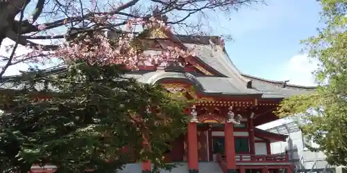 眞久寺の本殿