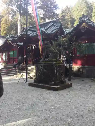 箱根神社の狛犬