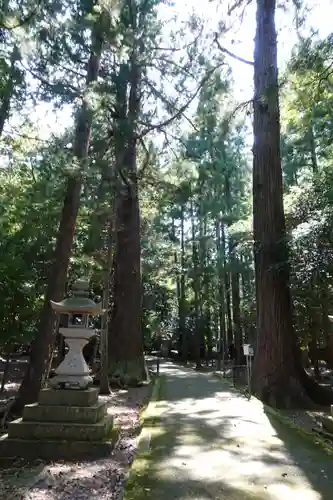 若狭彦神社（上社）の建物その他