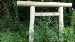 白幡神社の鳥居