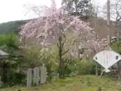 善峯寺(京都府)