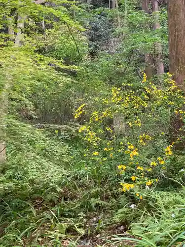 妙本寺(神奈川県)