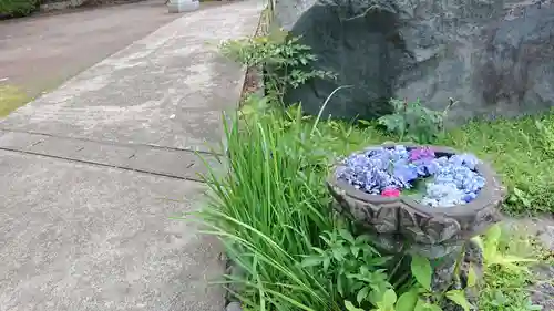 光厳寺の手水舎