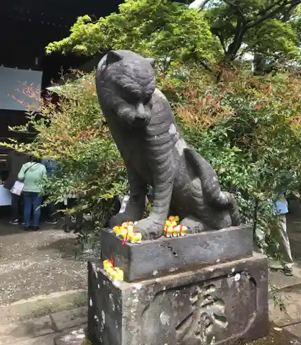 多聞院の狛犬