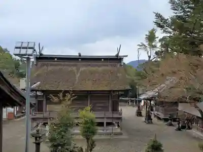 柏原八幡宮の本殿・本堂