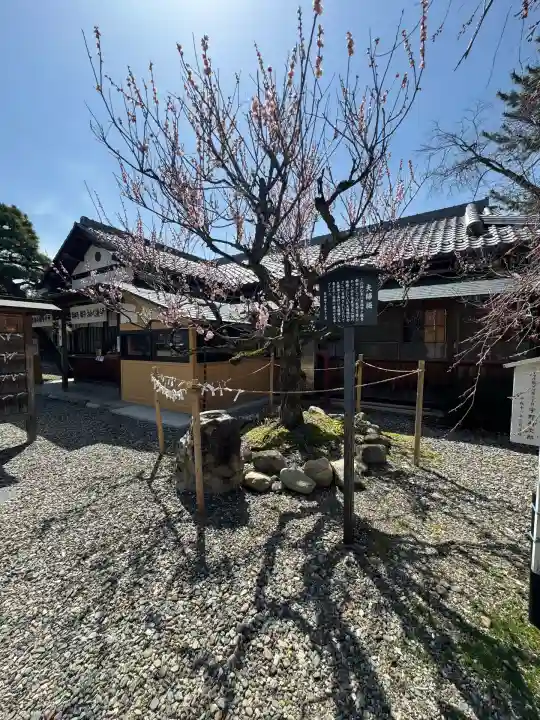 滋賀県護国神社(滋賀県)