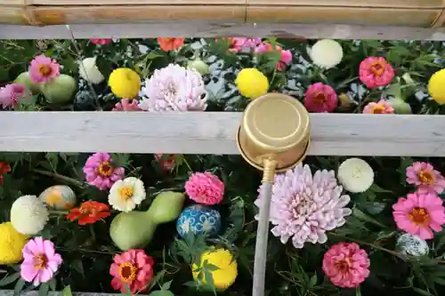 豊景神社の手水