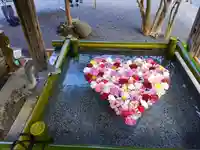 布施弁天 東海寺の手水舎