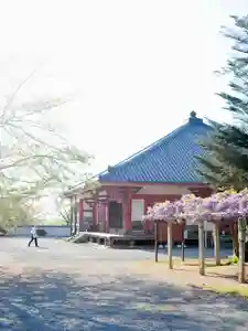 浄土寺(兵庫県)(2026年04月17日(金) 07時16分44秒投稿)