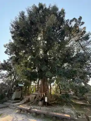 揖夜神社の{uncategorized: "未分類", other: "その他", undefined: "問題あり", building: "その他建物", grave: "お墓", sacred_gate: "鳥居", guardian: "狛犬", statue: "像", buddha: "仏像", history: "歴史", nature: "自然", garden: "庭園", animal: "動物", pagoda: "塔", temizu: "手水舎", mountain_gate: "山門・神門", sanctuary: "本殿・本堂", subordinate: "末社・摂社", art: "芸術", scenery: "景色", jizo: "地蔵", ema: "絵馬", goshuin: "御朱印", omikuji: "おみくじ", items: "授与品その他", amulet: "お守り", goshuincho: "御朱印帳", eats: "食事", festival: "お祭り", votive_dance: "神楽", shichigosan: "七五三参", wedding: "結婚式", experience: "体験その他", initially: "初詣", around: "周辺", anti_infection: "感染症対策"}