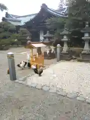 石上神宮の動物